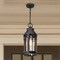 Nuvo Wilton - 1 Light Hanging Lantern - Matte Black with Clear Seeded Glass 60/8104 - alternate 8